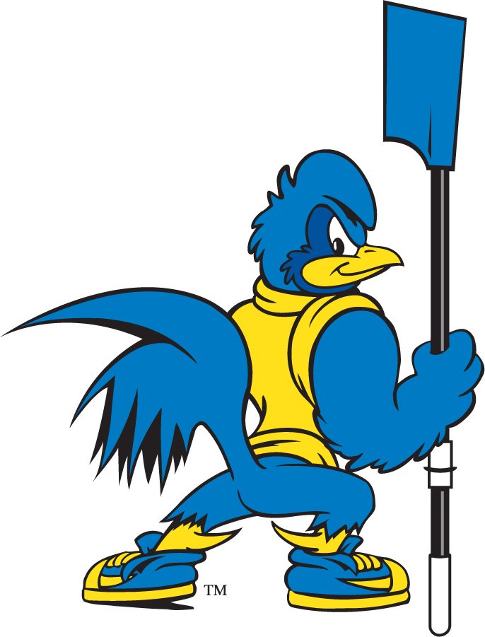 Delaware Blue Hens 1999-2009 Mascot Logo iron on transfers for T-shirts